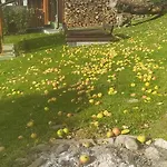 Pod Modrzewiami Quarto em Acomodações Particulares