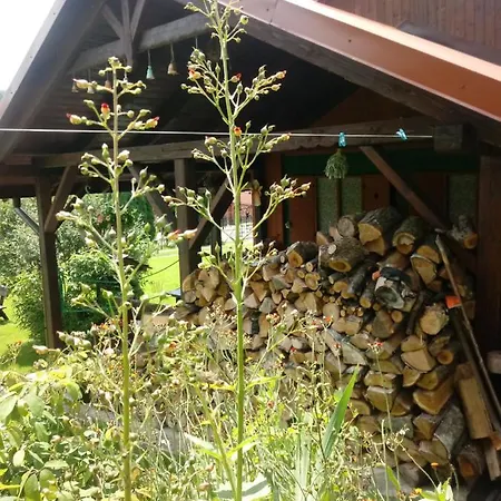 Pod Modrzewiami Privatunterkunft *