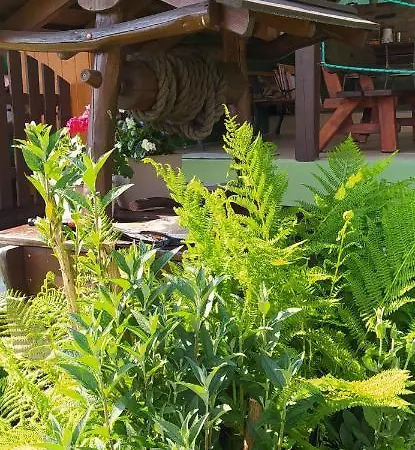 Alloggio in famiglia Pod Modrzewiami *