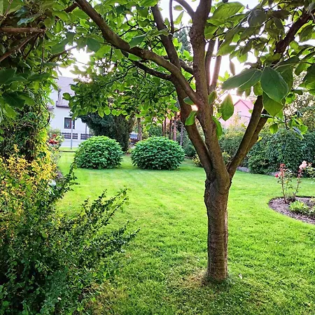 Pod Modrzewiami Privatunterkunft *