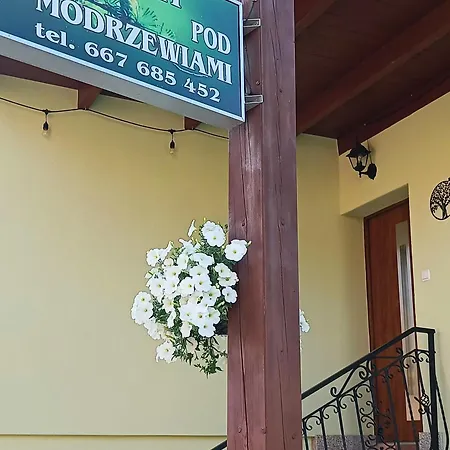 Pod Modrzewiami *