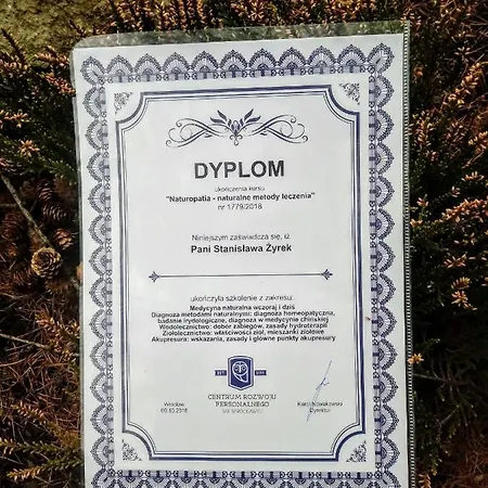 Pod Modrzewiami Milówka