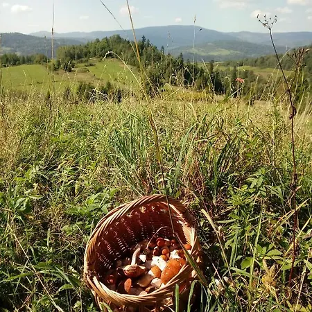 Privatunterkunft Pod Modrzewiami *