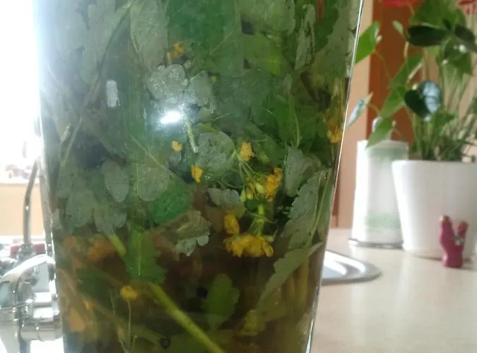 Pod Modrzewiami * Milówka