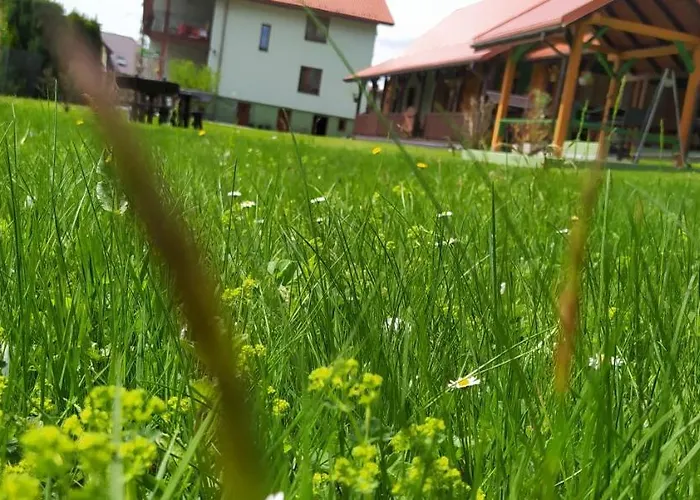 Pod Modrzewiami Homestay