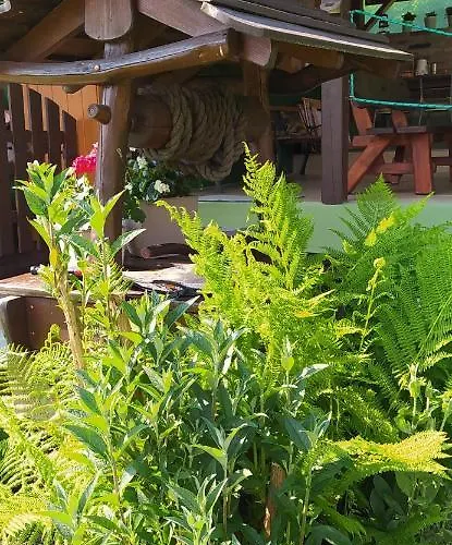 Homestay Pod Modrzewiami *