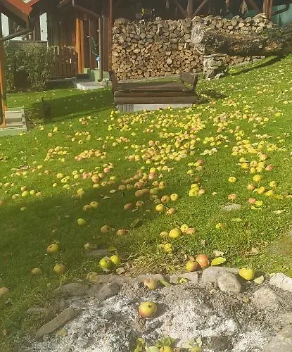 Pod Modrzewiami Homestay