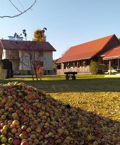 בית אירוח Pod Modrzewiami