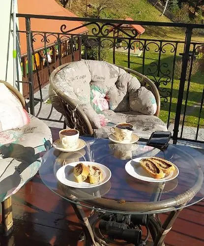 בית אירוח Pod Modrzewiami