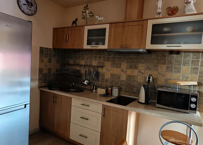 בית אירוח Pod Modrzewiami *