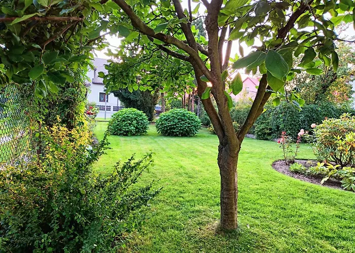 Pod Modrzewiami Homestay *