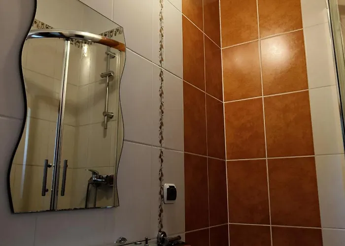 בית אירוח Pod Modrzewiami *