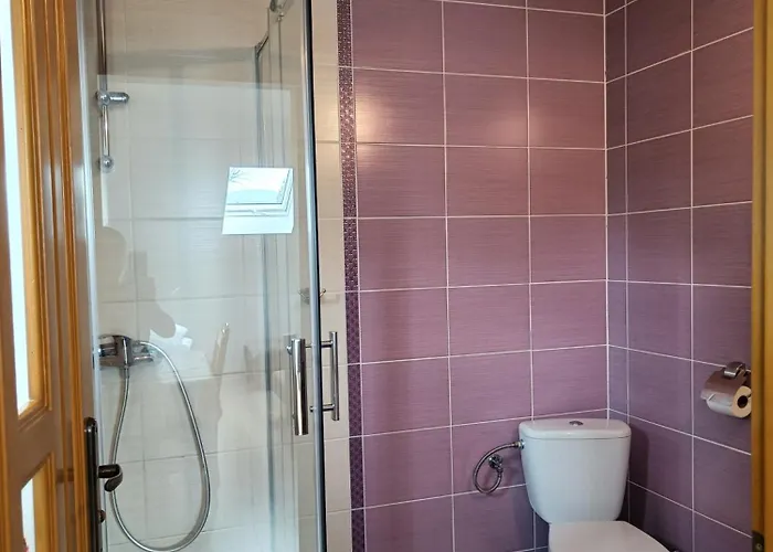 Pod Modrzewiami בית אירוח *