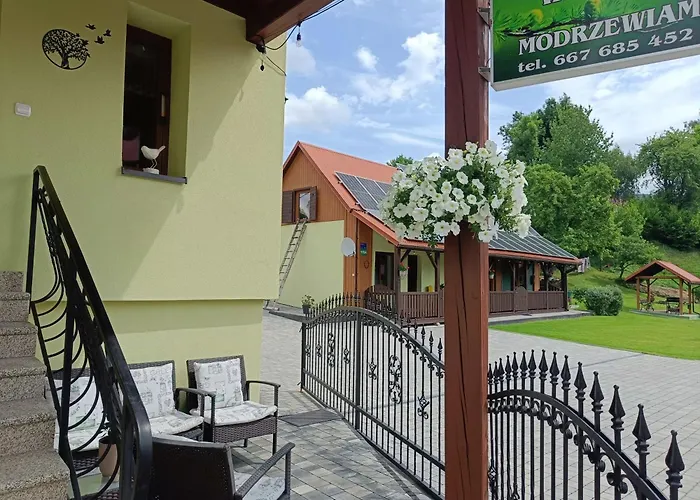 Pod Modrzewiami * Milowka