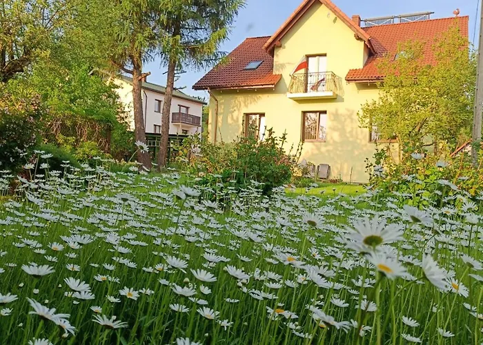 Pod Modrzewiami Homestay *