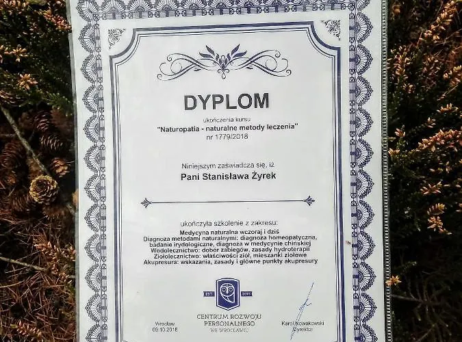 Pod Modrzewiami Milówka